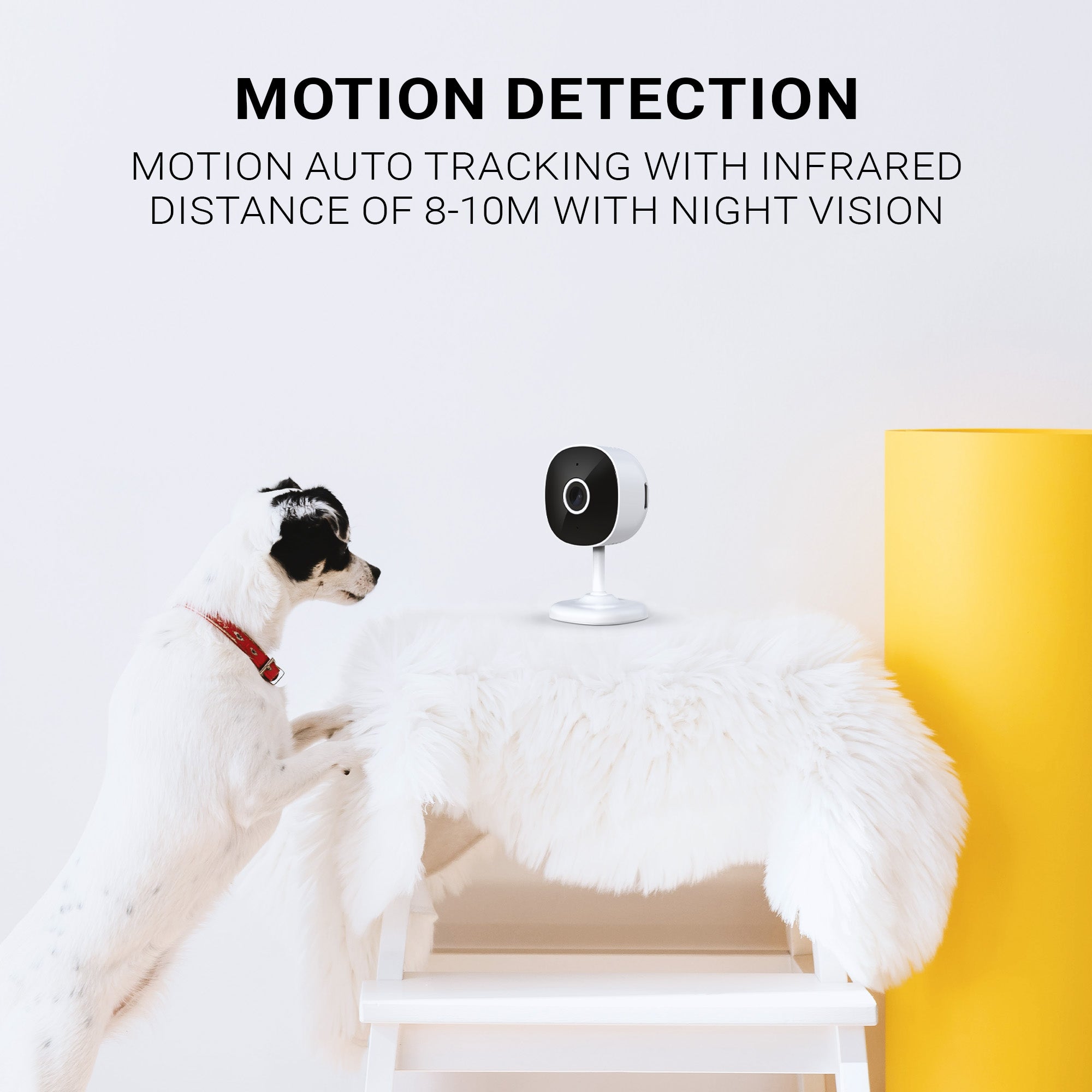 INSTACHEW Puresight Mini Wi-Fi Pet Camera, Indoor Security Camera with Phone App for Cats and Dogs-4