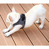 Instachew PETKIT Air Fly Dog Harness-3