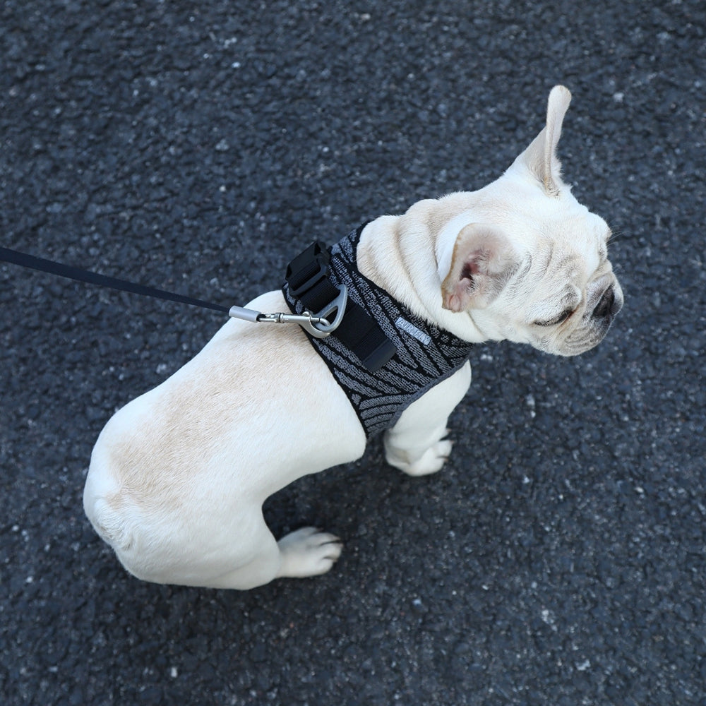 Instachew PETKIT Air Fly Dog Harness-2
